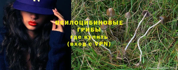 стаф Абаза
