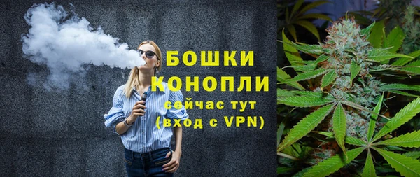 стаф Абаза