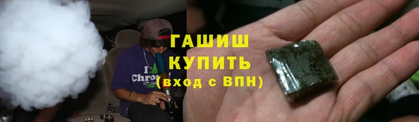 стаф Абаза