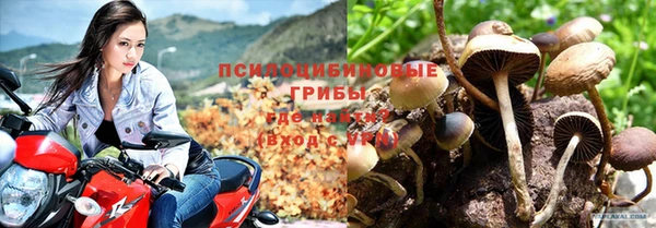 кокс Абинск