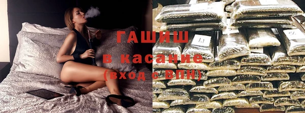 стаф Абаза