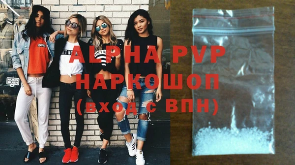 стаф Абаза