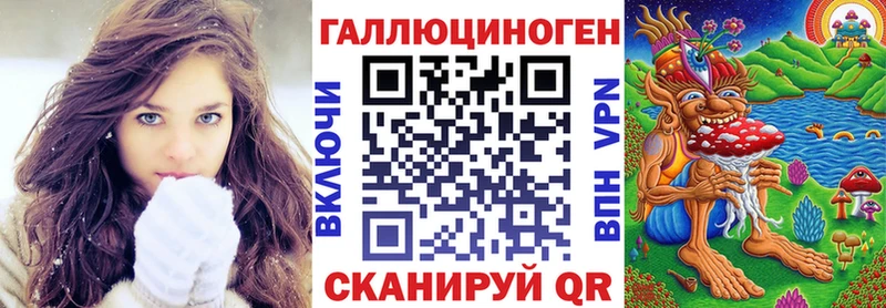 хочу наркоту  Монино  Галлюциногенные грибы Psilocybe 